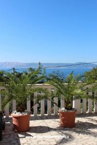 Apartmány Pavica  foto 5