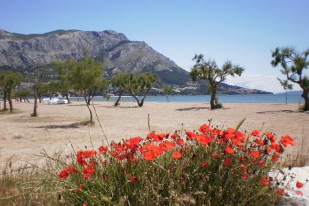 Apartmány Danka Čudić foto 3