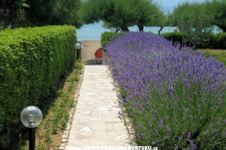 Apartmány Lavanda foto 3