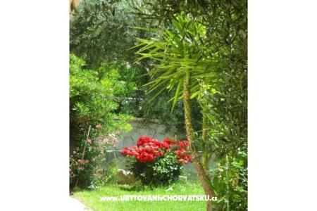 Apartmány Maja foto 4