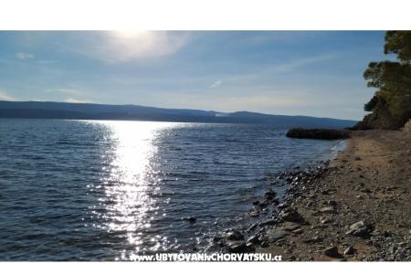 Apartmány Ruža foto 4