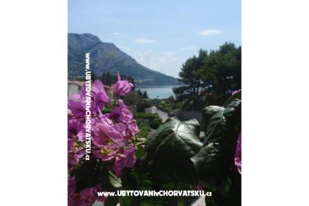 Apartmány Vinka Saric foto 2