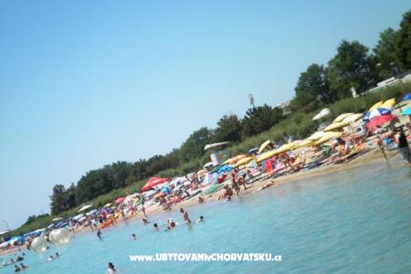 Apartmán Smokvica foto 4