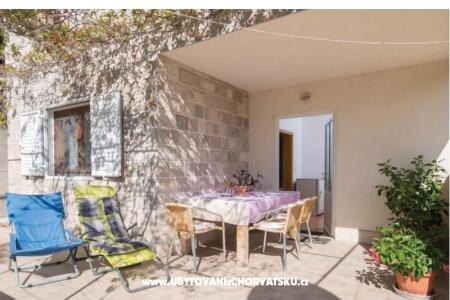 Two olive trees foto 3