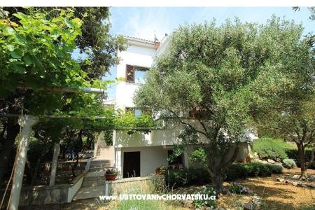 Apartmány Salvia island Pag Mandre foto 4