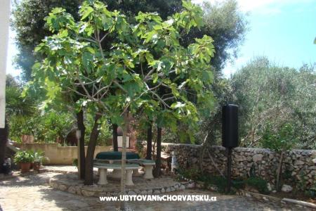 Apartmány Mandre foto 2