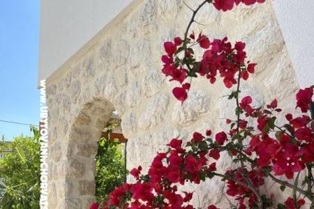 Apartmány Ksenija Pakoštane Chorvátsko