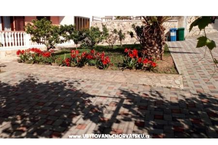 Apartmány Leo foto 4