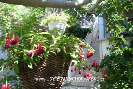 Apartmány Sokalo-Petar foto 4