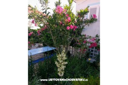 Apartmány Marija-Tkon foto 3