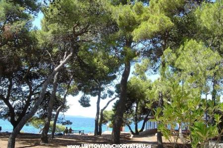 Apartmány Ivan  foto 2