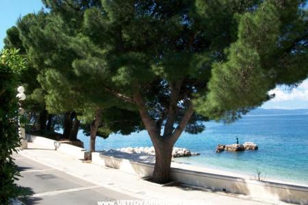 Apartmány Mirjana Gnjec foto 3