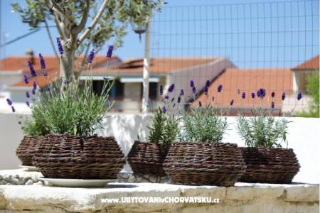 Apartmány Vodanović foto 4