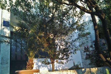 Apartmány Brusje foto 2