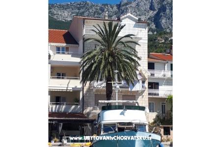 Palm tree apartman foto 5