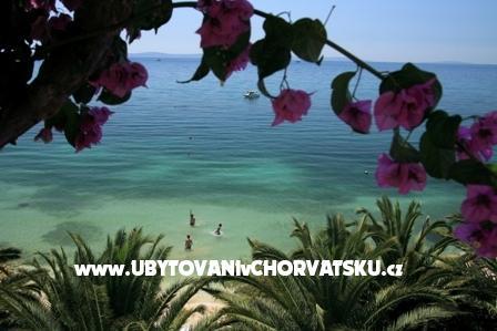 Apartmány Palme foto 3