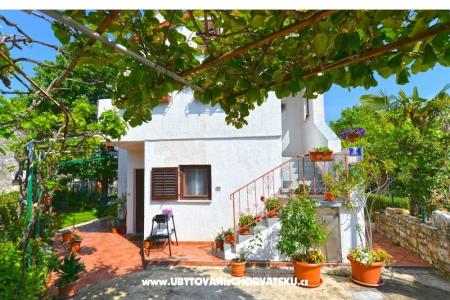 Apartmány Danica foto 4