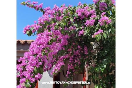 Apartmány Kero foto 3