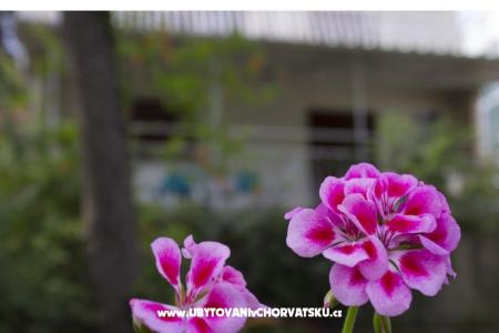 Apartmány Porat - PRIMOŠTEN foto 2