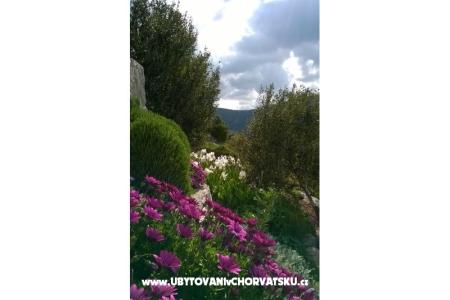 Apartmány   Luka foto 5