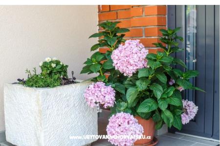 Apartmány Andreja foto 3