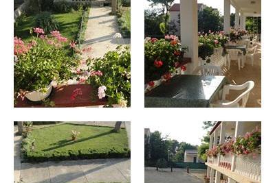 Apartmány Ankica foto 5