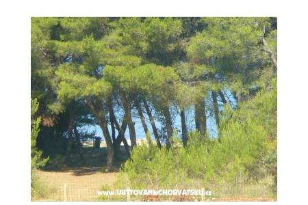 Apartmány Dora foto 4