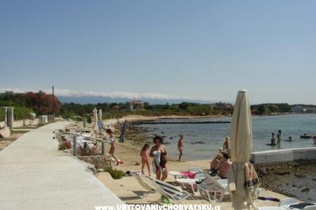 Apartmány Villa Goga  foto 2