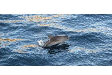 Apartmány Marin Pula Chorvátsko