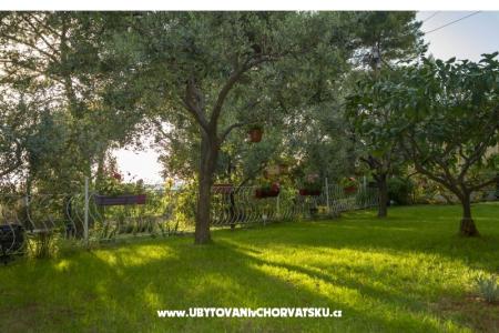 Apartmán Petra foto 5