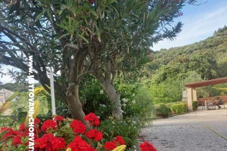 Apartmány Danijela foto 4