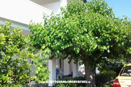 Apartmány Snjezana ostrov Rab Chorvátsko