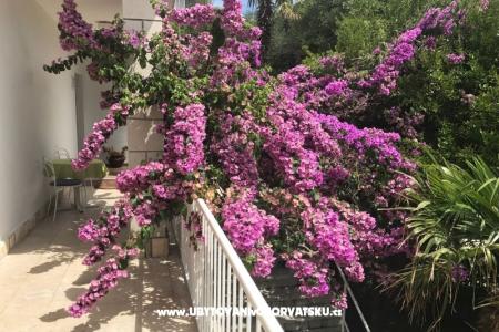 Apartmány  Španjol foto 4