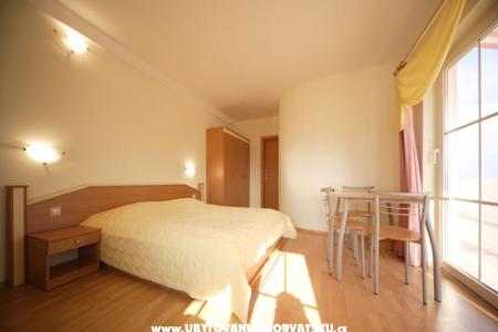 Pansion Bellevue foto 3