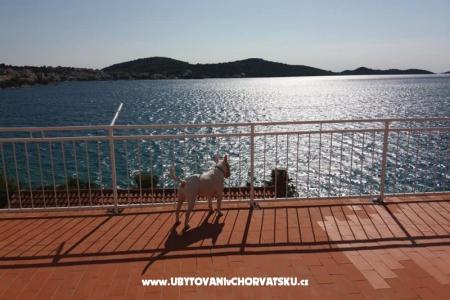 Apartmány Bebe foto 5