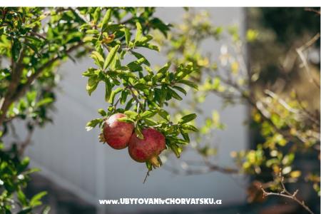 Apartmány Vidović foto 4