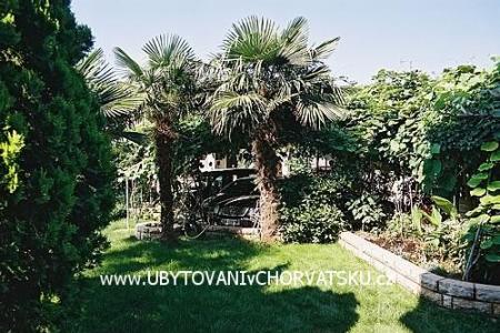 Apartmány BOS-KO foto 3