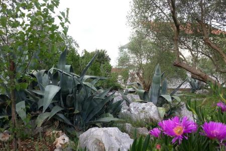 Apartmány Vlado foto 4