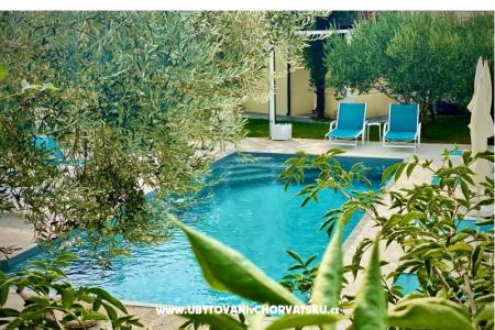 Villa Dube Slano/ villa s bazénom foto 4
