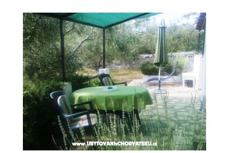 Apartmány Oliva - Otok Šolta foto 3