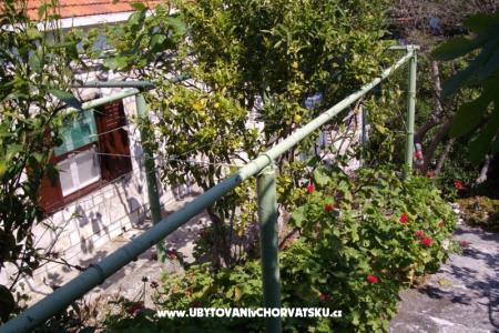Prázdninový dom Villa Marijeta foto 4