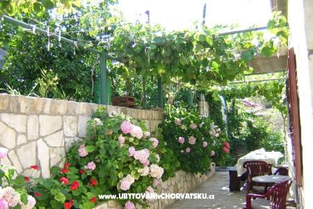 Prázdninový dom Villa Marijeta foto 5