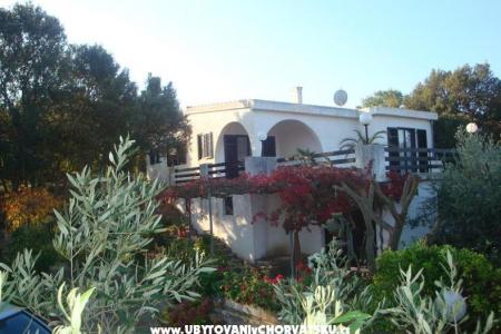 Villa Bepina ostrov Šolta Chorvátsko