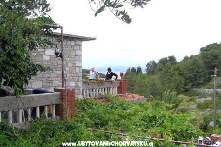 Villa Palmira foto 3