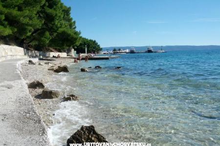 Whole house &amp; garden only for you foto 2