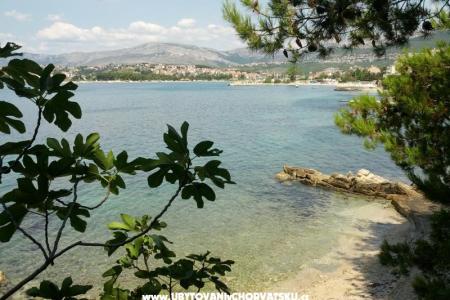 Whole house &amp; garden only for you foto 4