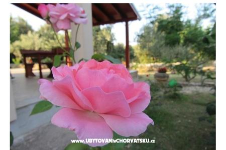 Prázdninový dom Dević foto 2
