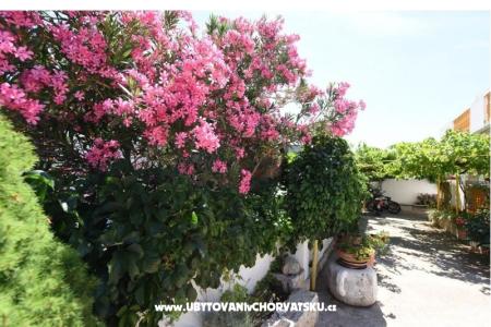 Apartmány M.A.I.S.  foto 2