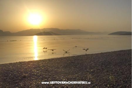 Apartmány Boa  foto 5