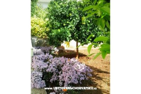 Apartmány Zubak foto 3